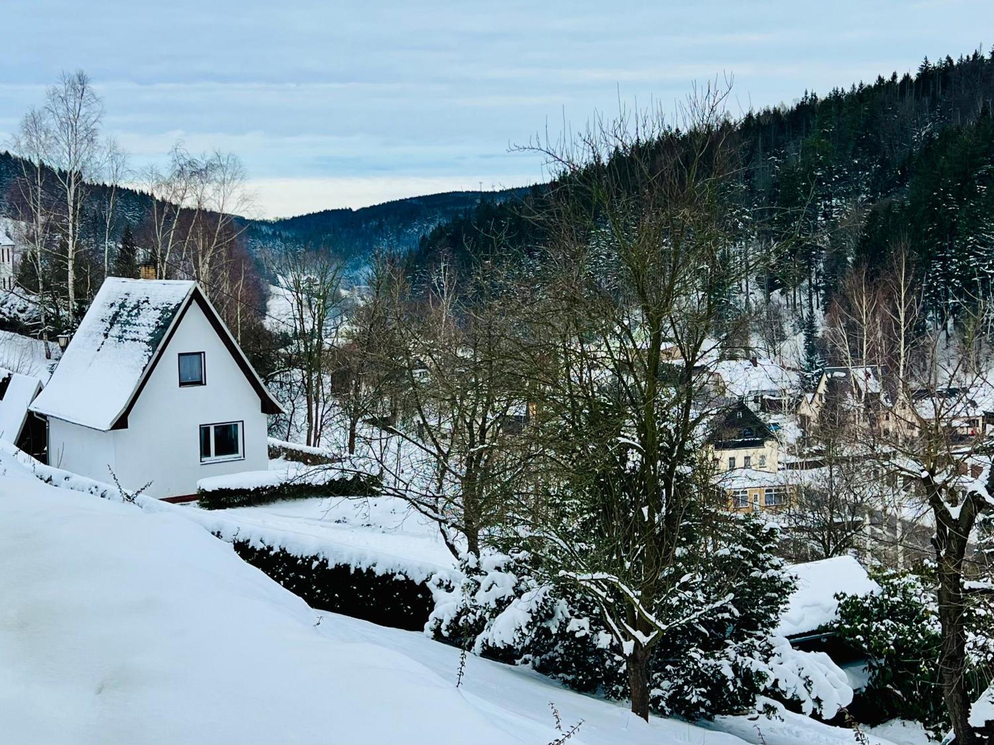 Urige Berghuette Mit Kamin Und Sauna Im Erzgebirge Nahe Schwarzwassertal Pobershau Exterior photo